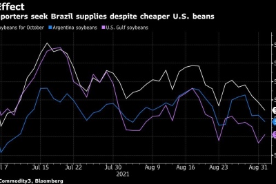 Les importateurs de soja cherchent à s’approvisionner au Brésil malgré des haricots américains moins chers. Source : Bloomberg