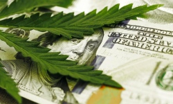 Investir dans le cannabis avec Plus500