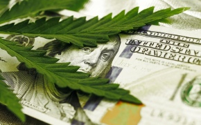 Comment investir dans le cannabis avec eToro CannabisCare CopyPortfolio ?