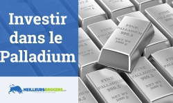Pourquoi les investisseurs se ruent-ils sur le Palladium ?