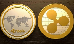 Définition : Qu'est-ce que le Ripple? À quoi cela peut-il bien servir ?