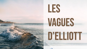 Comprendre et utiliser les vagues d’Elliott