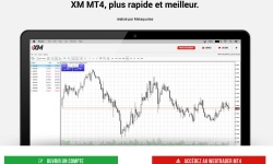 Découvrez les 3 types de compte offerts par XM (Micro, Standard and XM Zero)