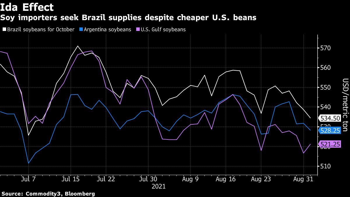 Les importateurs de soja cherchent à s’approvisionner au Brésil malgré des haricots américains moins chers. Source : Bloomberg