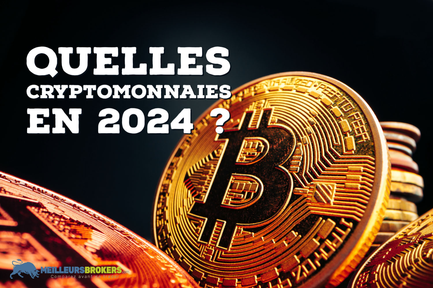 Dans quelles cryptomonnaies faut-il investir en 2024 ?